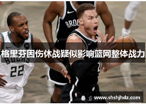 格里芬因伤休战疑似影响篮网整体战力